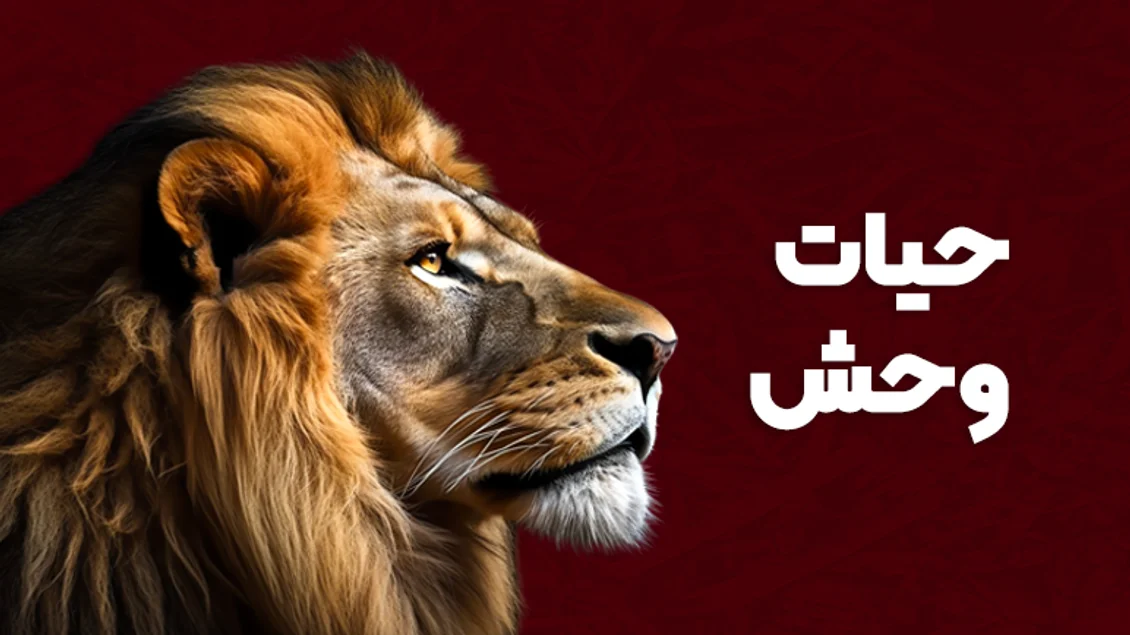 حیات وحش